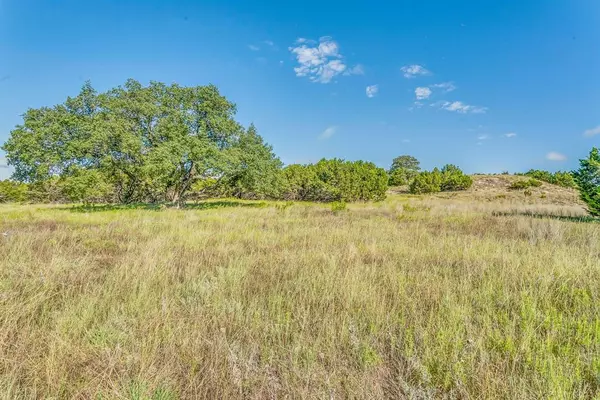 Cross Plains, TX 76443,Tract 3 CR 407