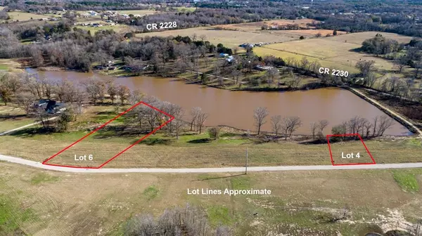 Mineola, TX 75773,lot 4 CR 2228