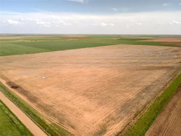 O'brien, TX 79539,220 Acres FM 2163