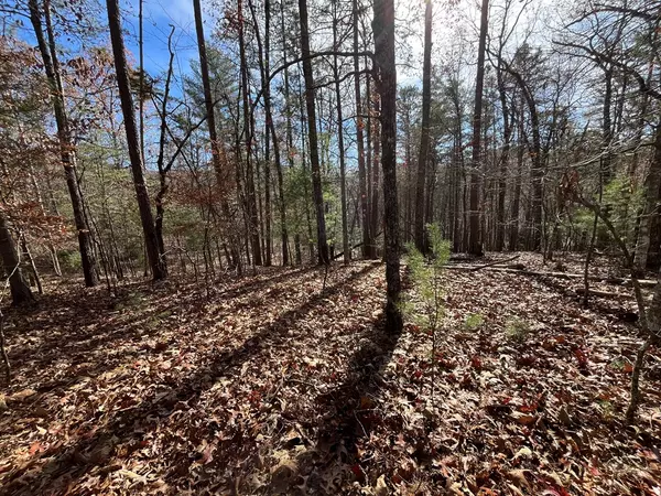 Morganton, GA 30560,Lot 69 Tipton Springs Road