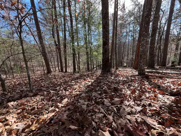 Morganton, GA 30560,Lot 69 Tipton Springs Road