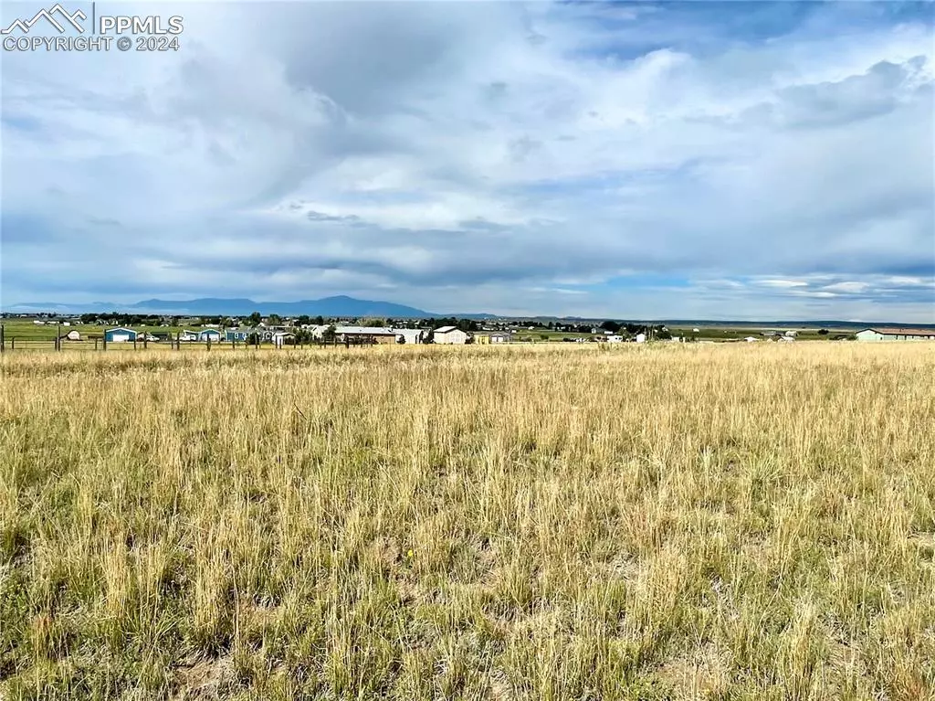 Peyton, CO 80831,18602 Longhorn Acres TRL