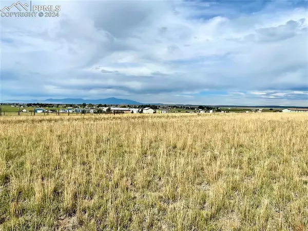 18602 Longhorn Acres TRL, Peyton, CO 80831