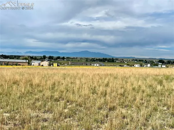 Peyton, CO 80831,18602 Longhorn Acres TRL