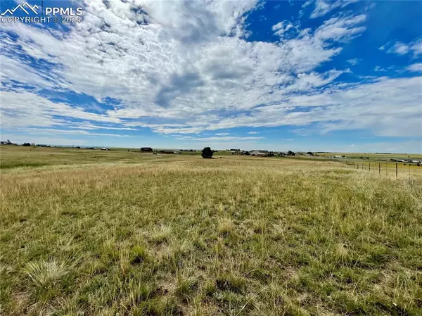 Peyton, CO 80831,18602 Longhorn Acres TRL