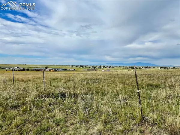 Peyton, CO 80831,18602 Longhorn Acres TRL