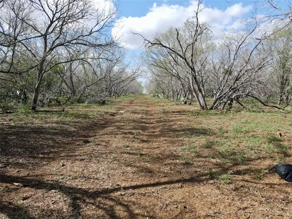 Nixon, TX 78140,219 S State Highway 80 Avenue