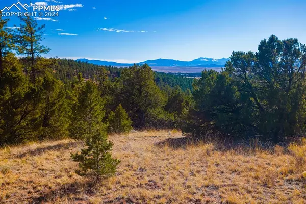 177 Pawnee TRL, Westcliffe, CO 81252