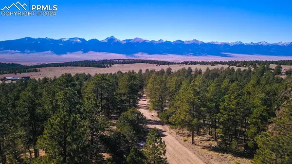 Westcliffe, CO 81252,177 Pawnee TRL