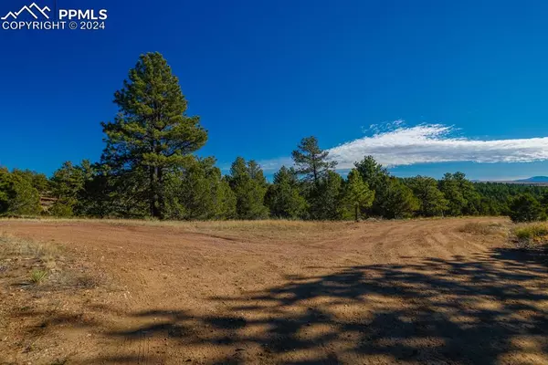 Westcliffe, CO 81252,177 Pawnee TRL