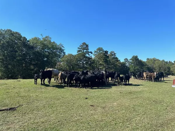 Overton, TX 75662,CR 142D-1 Path