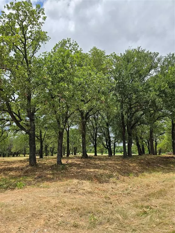 Bridgeport, TX 76073,1895 Sunflower Road #Lot 2