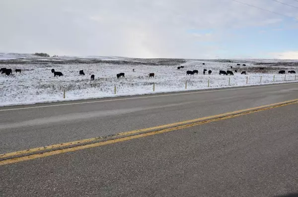 Rural Rocky View County, AB T0T 0T0,Range Road 14 Big Hill Springs