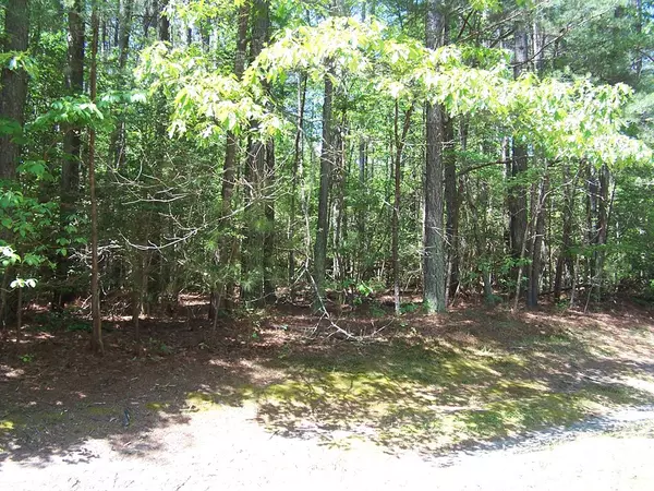 Heathsville, VA 22473,lot 118 Buoy DR