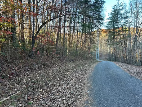 Lot 11 Tombstone Drive, Blairsville, GA 30512