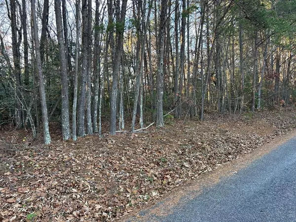 Lot 9 Tombstone Drive, Blairsville, GA 30512