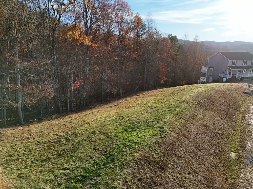 Morganton, GA 30560,Lot 37 Big Valley Overlook