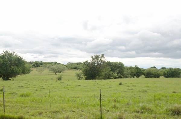 Pottsboro, TX 75076,14.455 Ac FM 406 Highway