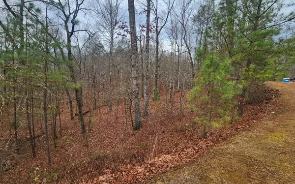 LOT 9 Harris Creek Drive, Ellijay, GA 30540