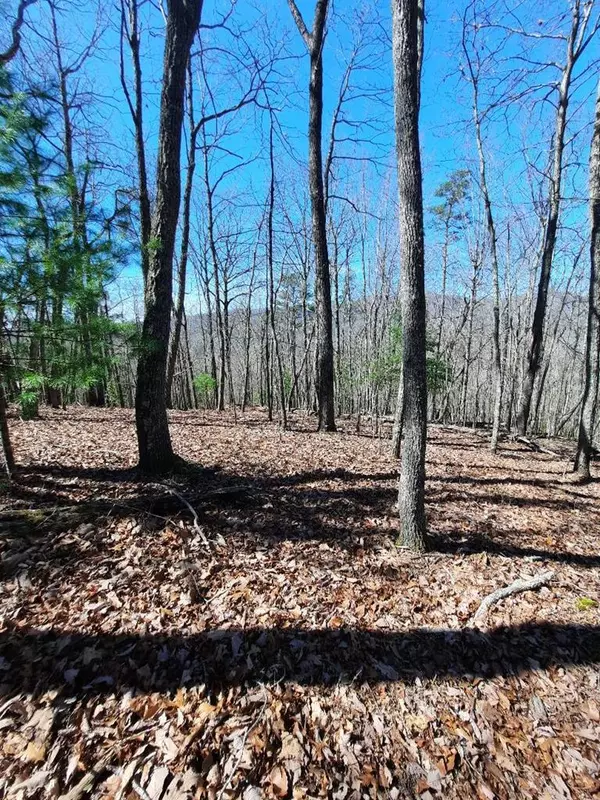 Lot # 7 Quail Run Ridge, Murphy, NC 28906