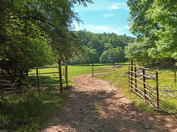 Blairsville, GA 30512,13.4AC Mount Pleasant Church Road