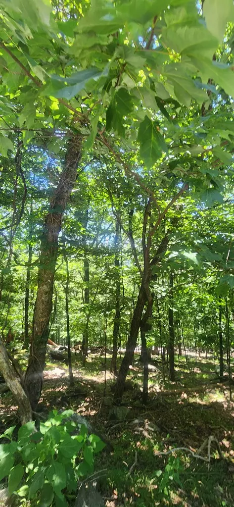 Jasper, GA 30143,Lot 1820 Echo Ridge