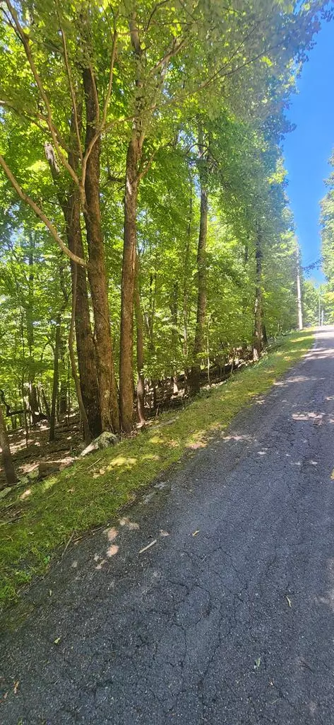 Jasper, GA 30143,Lot 1820 Echo Ridge