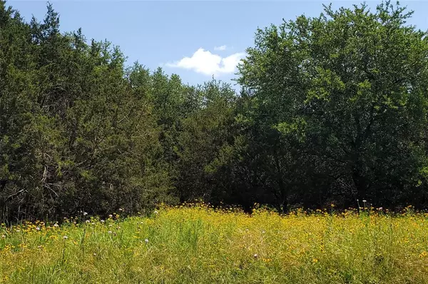 Whitney, TX 76692,122 HCR-2133