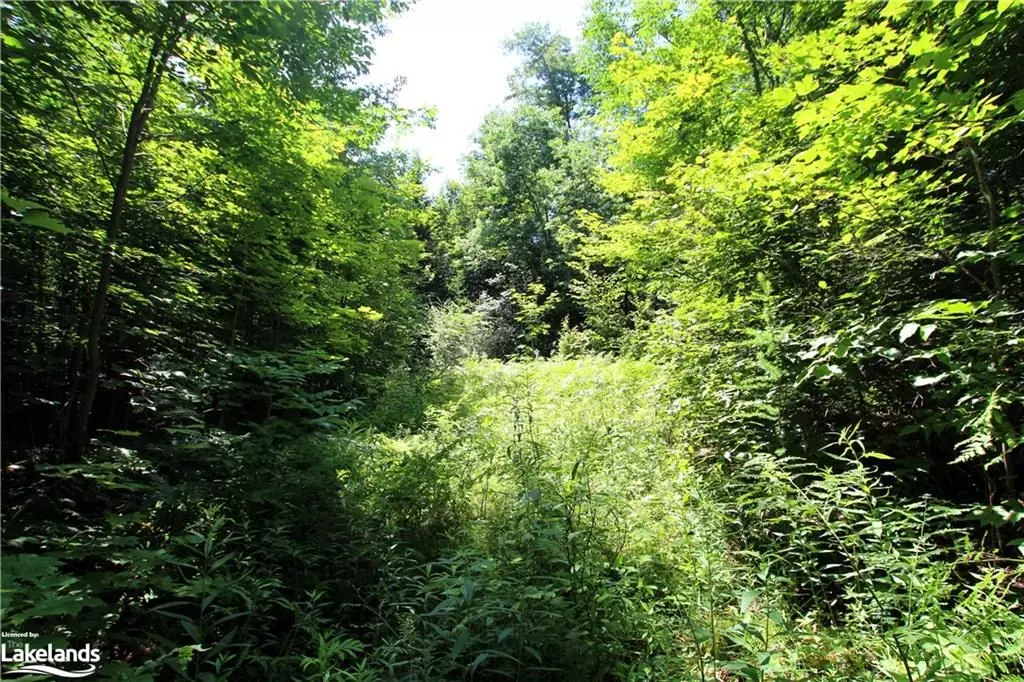 Parry Sound Remote Area, ON P0H 1Y0,0A 20TH SIDE RD N/A