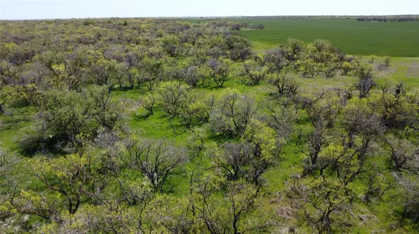 Throckmorton, TX 79606,0000 FM 923