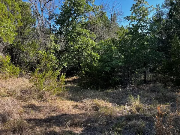 Glen Rose, TX 76043,TBD CR 2007 County Rd 2007