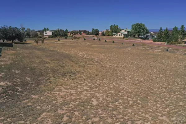 Pueblo West, CO 81007,206 S Los Olivos Dr