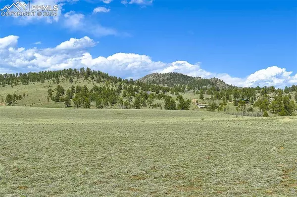 Guffey, CO 80820,74 Wrights LN