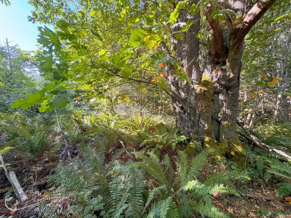 Gabriola Island, BC V0R 1X0,Lot 7 The Strand