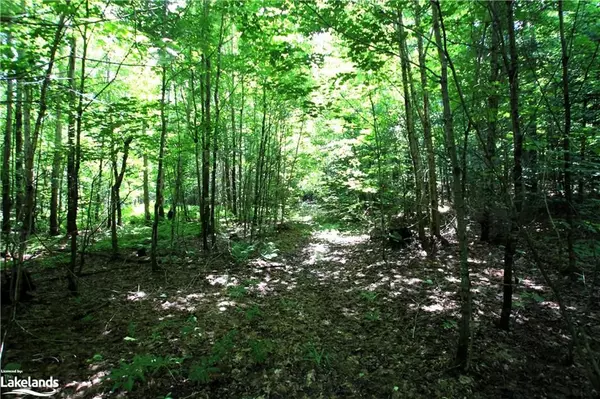 Parry Sound Remote Area, ON P0H 1Y0,0A 20TH SIDE RD N/A