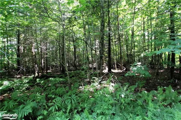 Parry Sound Remote Area, ON P0H 1Y0,0A 20TH SIDE RD N/A