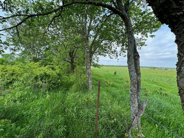 Greenville, TX 75401,48.13 ac Rolling Lane