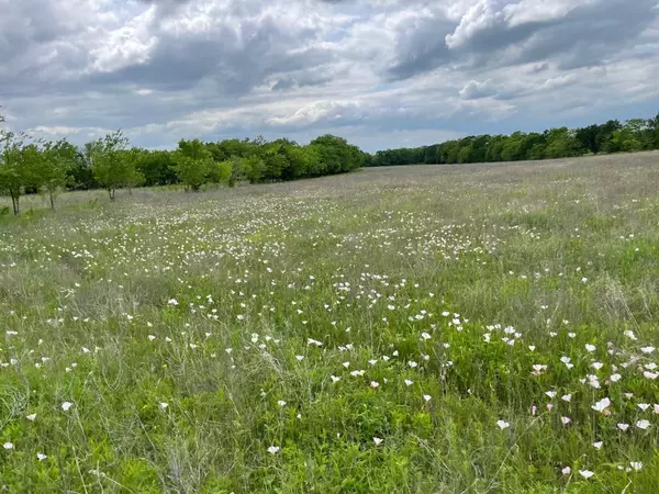 Greenville, TX 75401,48.13 ac Rolling Lane