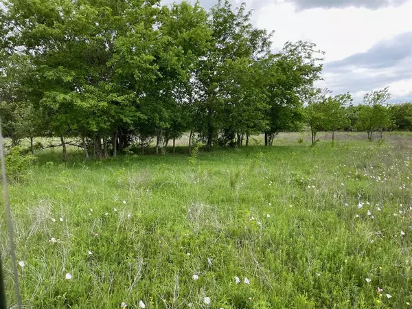 Greenville, TX 75401,48.13 ac Rolling Lane