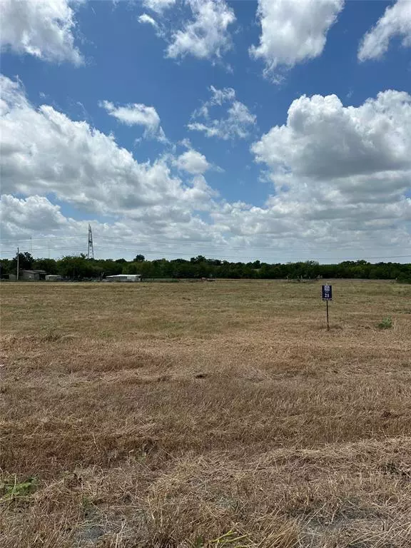 Greenville, TX 75401,4025 Rolling Lane