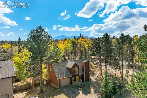 32 Leisure LN, Woodland Park, CO 80863