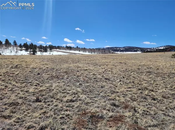 Hartsel, CO 80449,244 Brahma CIR