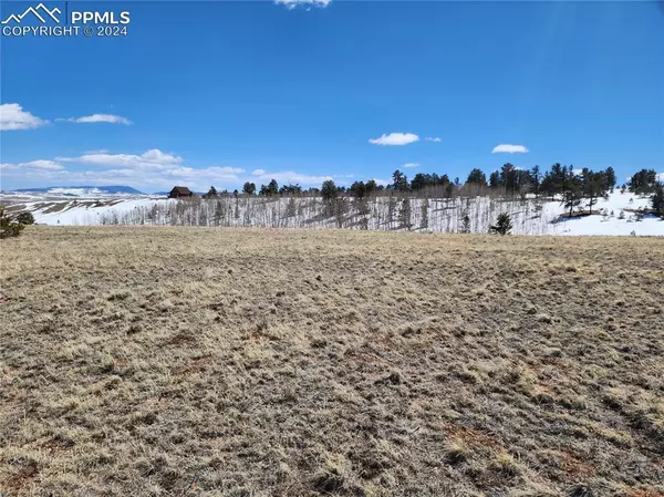 Hartsel, CO 80449,244 Brahma CIR