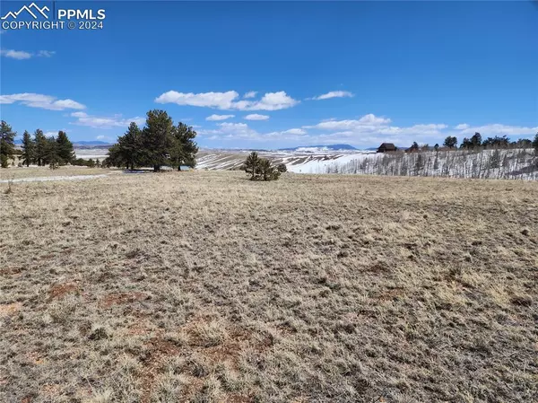 Hartsel, CO 80449,244 Brahma CIR