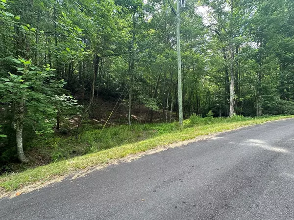 Ellijay, GA 30540,Lot 556 Satsuma Court N