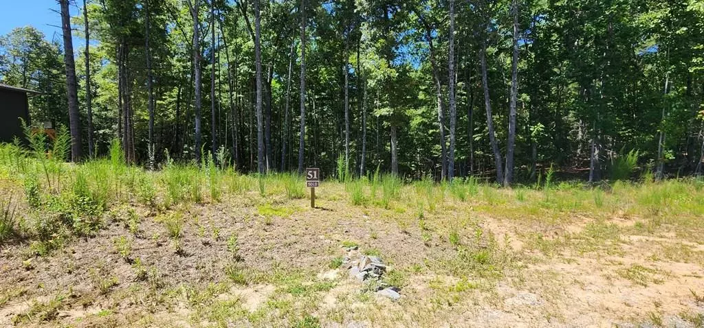 Lot 51 Ridge Drive, Morganton, GA 30560