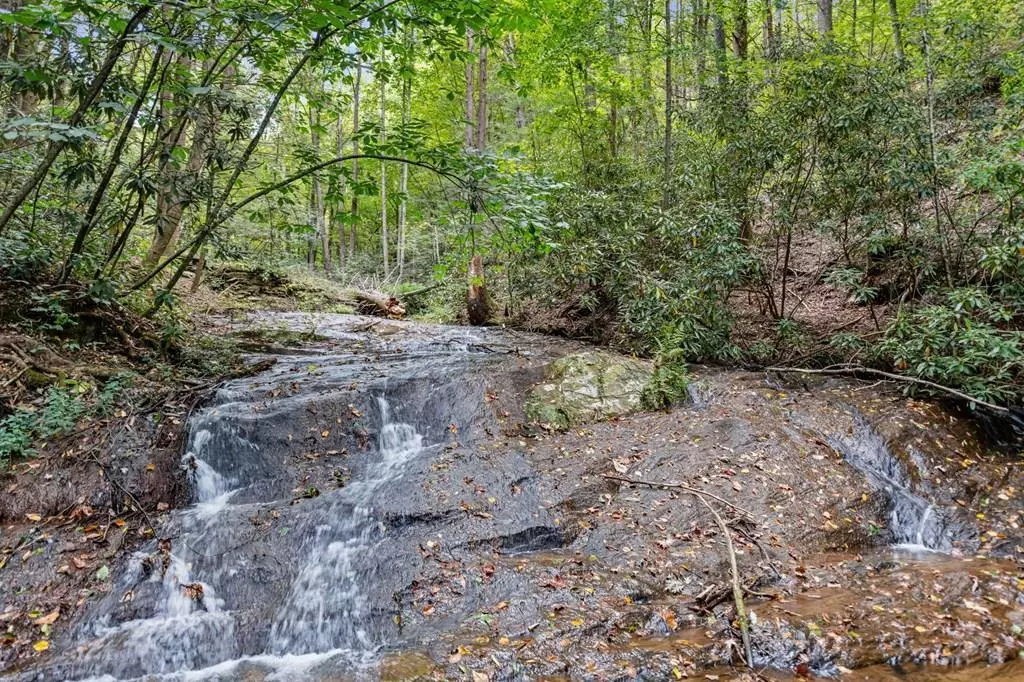 Blue Ridge, GA 30513,220 Old Mill Trace