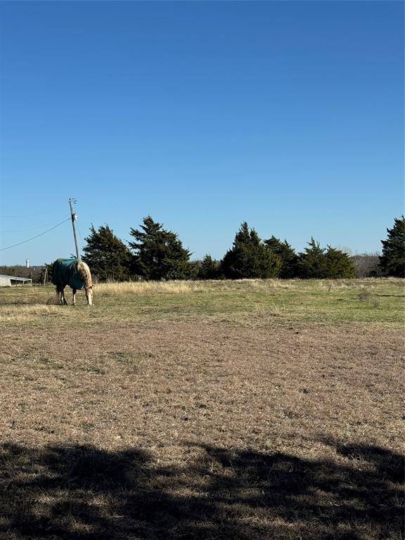 Gunter, TX 75058,102 Red Maple Road