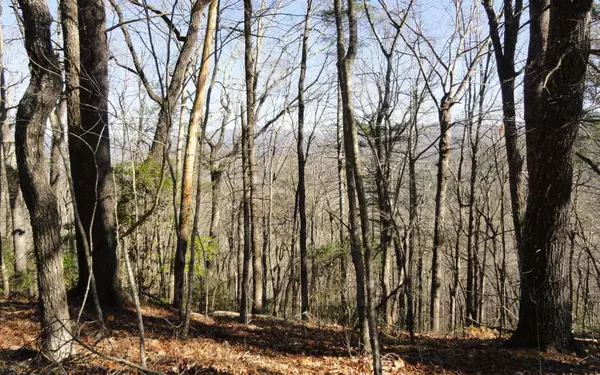 Blairsville, GA 30512,LOT B Cindy Cove