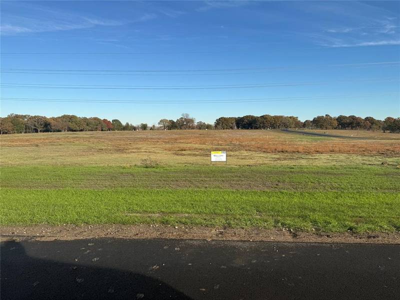 lot 102 Wildflower Way, Dodd City, TX 75438